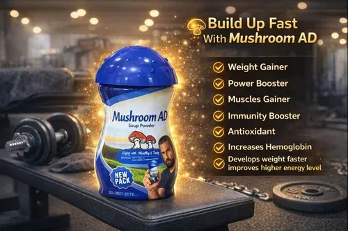 Organic mushroom powder weight gainer